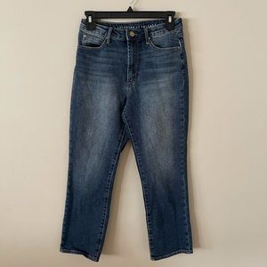 ARTICLES OF SOCIETY
Kate High Waist Crop Straight Leg Jeans In Elwood size 26